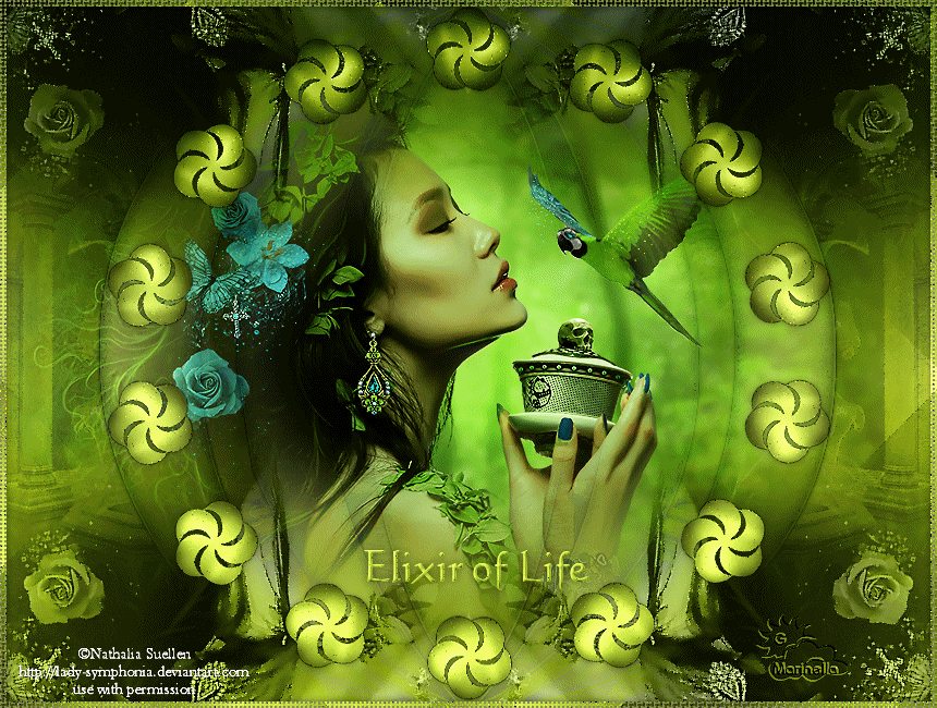 http://www.brezzadilago.org/immagini/maidiregrafica/maidire_f/Elixir_of_life.gif