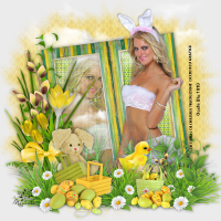 Sexy_bunny.png