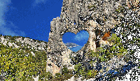 aquila_cuore.gif