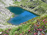 lago_cuore.gif
