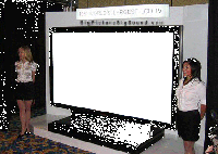 rossetto_Marinella.gif