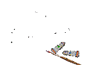tulipani.gif