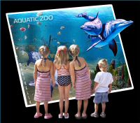 Acquatic.jpg
