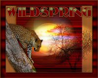Wild_spring.jpg