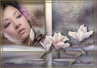 sweet_magnolia.jpg